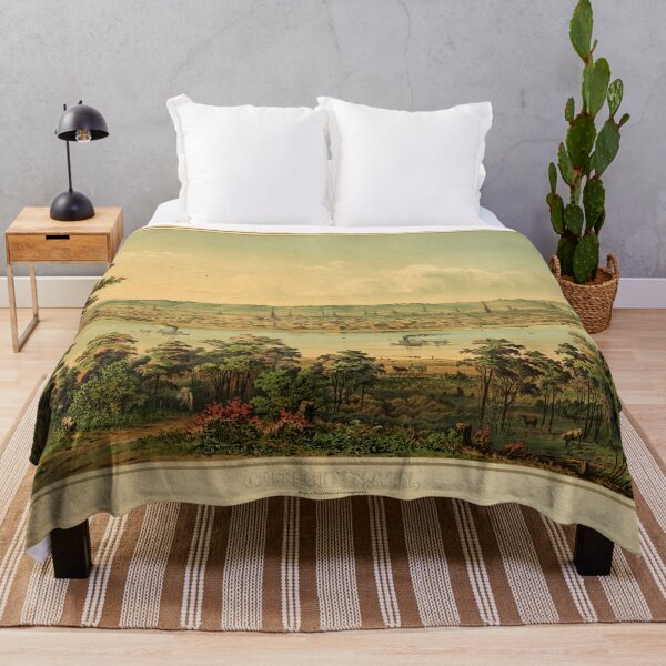 Item preview, Cincinnati Ohio from a point west of Covington, KY (circa 1880) designed and sold by allhistory.