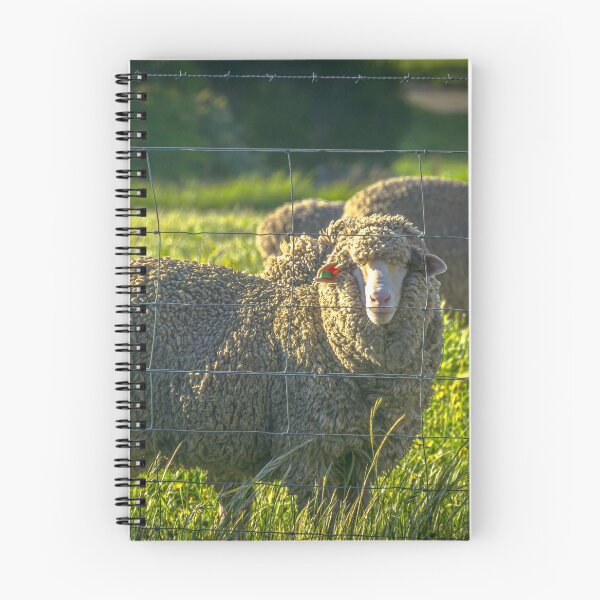 Item preview, Sheep by the Fenceline in Redesdale designed and sold by Steven Jodoin.