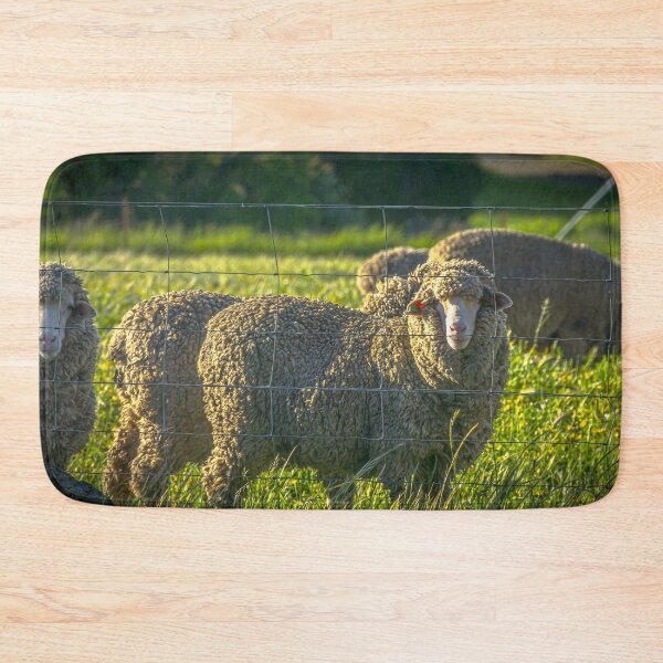 Item preview, Sheep by the Fenceline in Redesdale designed and sold by Steven Jodoin.