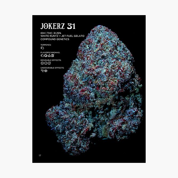 "Jokerz 31 Strain Stat Poster | The Secret Colors of Cannabis Official