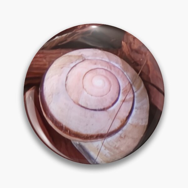 Item preview, Fotografía de caracol de jardín rosa designed and sold by SoniasArtwork.