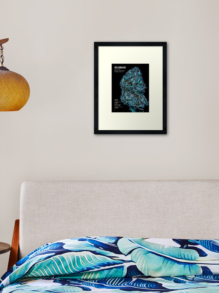 Thumbnail 2 of 7, Framed Art Print, Headband Strain Stat Poster | The Secret Colors of Cannabis Official designed and sold by cutbysam.