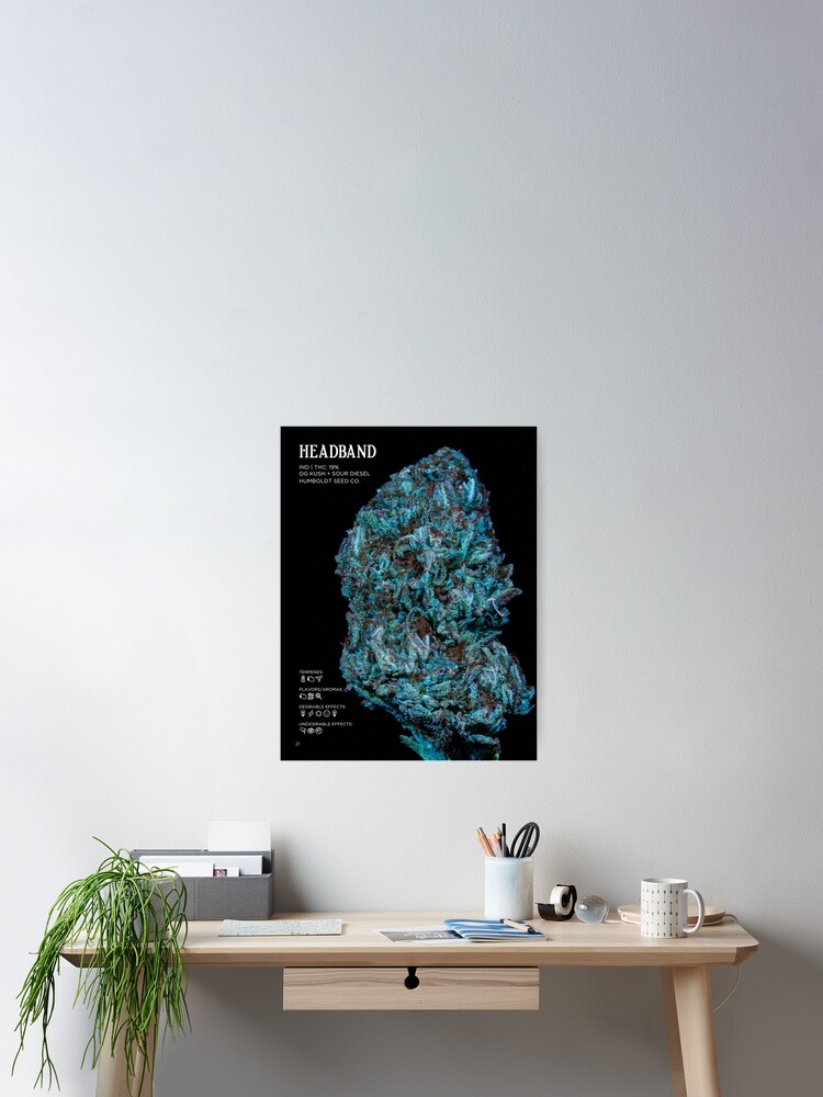 Thumbnail 2 of 3, Poster, Headband Strain Stat Poster | The Secret Colors of Cannabis Official designed and sold by cutbysam.