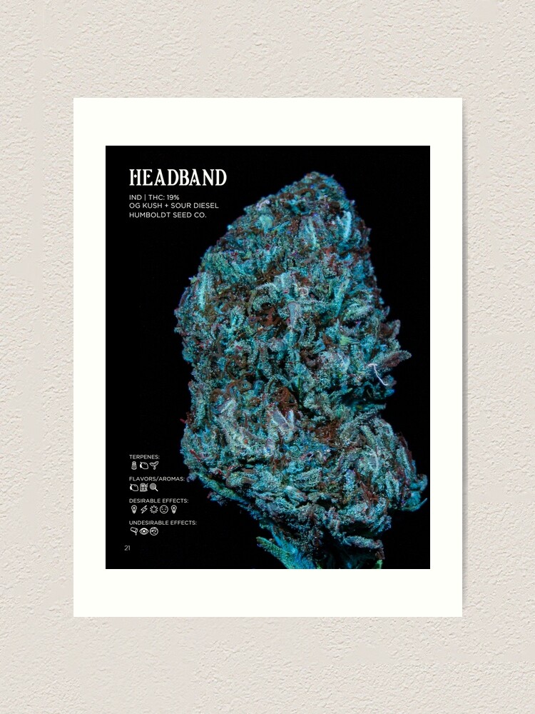 Thumbnail 1 of 3, Art Print, Headband Strain Stat Poster | The Secret Colors of Cannabis Official designed and sold by cutbysam.