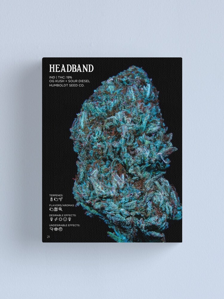 Thumbnail 1 of 3, Canvas Print, Headband Strain Stat Poster | The Secret Colors of Cannabis Official designed and sold by cutbysam.