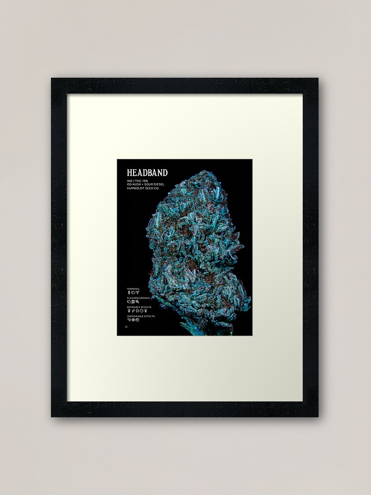 Thumbnail 1 of 7, Framed Art Print, Headband Strain Stat Poster | The Secret Colors of Cannabis Official designed and sold by cutbysam.
