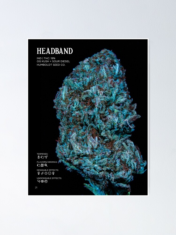 Thumbnail 1 of 3, Poster, Headband Strain Stat Poster | The Secret Colors of Cannabis Official designed and sold by cutbysam.