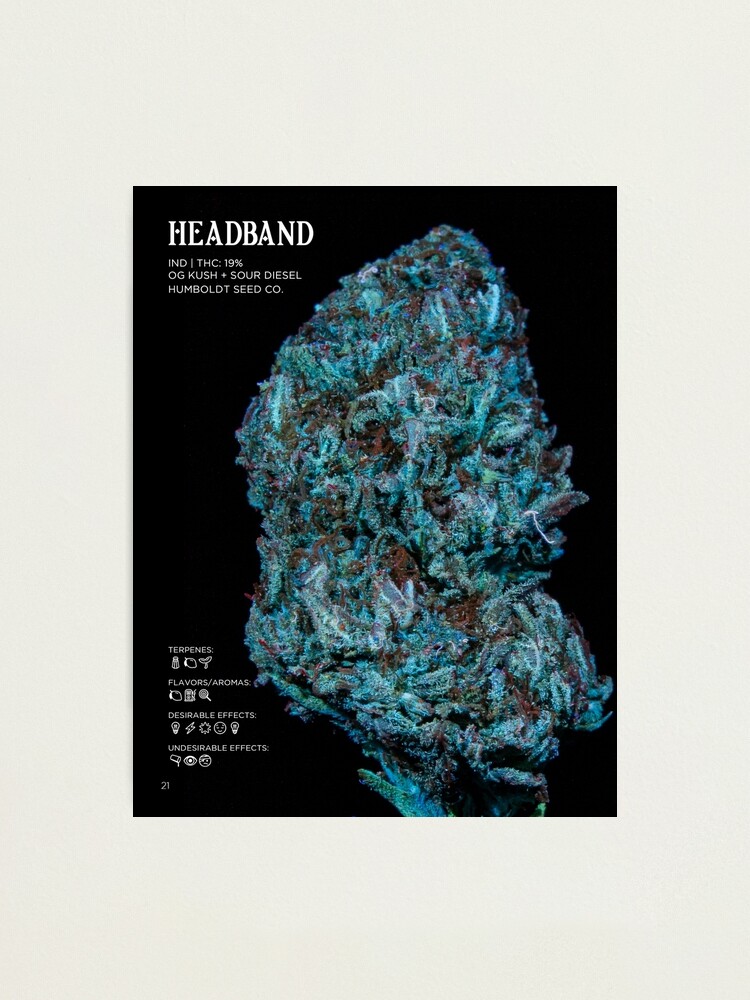Thumbnail 1 of 3, Photographic Print, Headband Strain Stat Poster | The Secret Colors of Cannabis Official designed and sold by cutbysam.