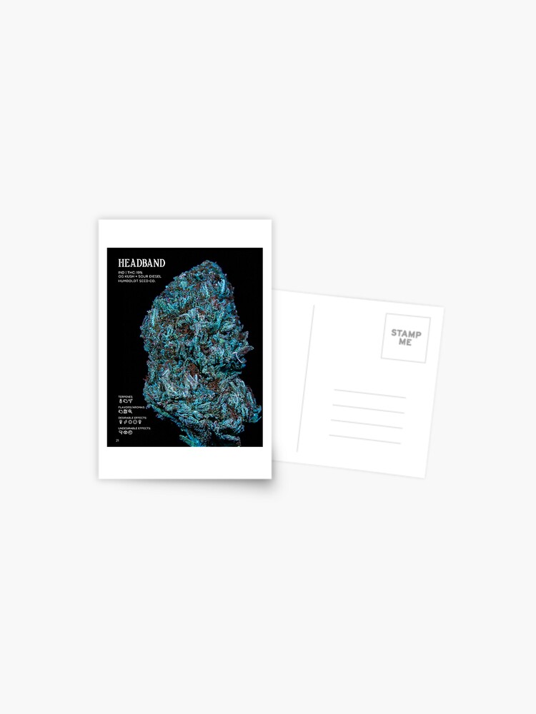 Thumbnail 1 of 2, Postcard, Headband Strain Stat Poster | The Secret Colors of Cannabis Official designed and sold by cutbysam.