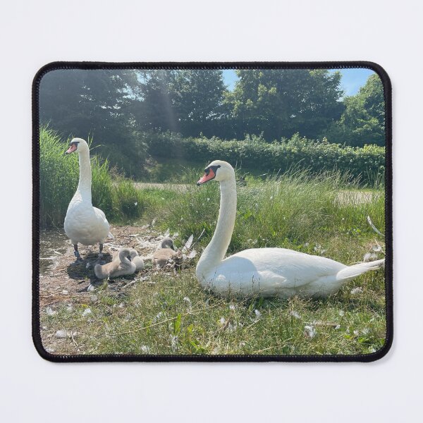 Item preview, Swan Family • Christianshavn • 2022 designed and sold by Mortinus.
