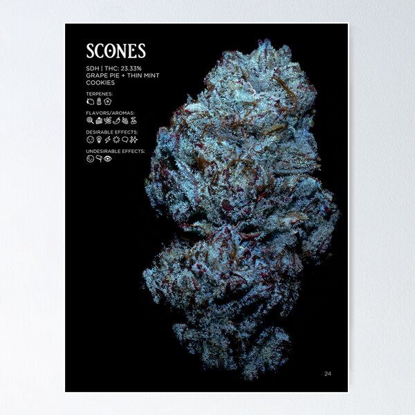Scones Strain Stat Poster | The Secret Colors of Cannabis Official Poster