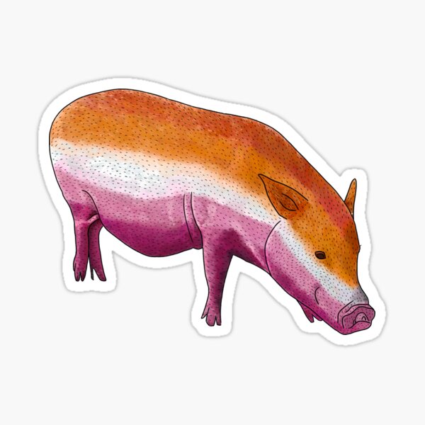 Lesbian Flag Pride Pig  Sticker