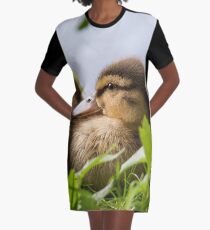 Siblings Graphic T-Shirt Dress