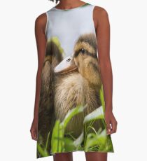 Siblings A-Line Dress