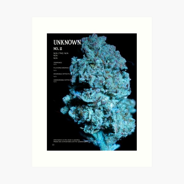Unknown No. 2 Strain Stat Poster | The Secret Colors of Cannabis Official Art Print