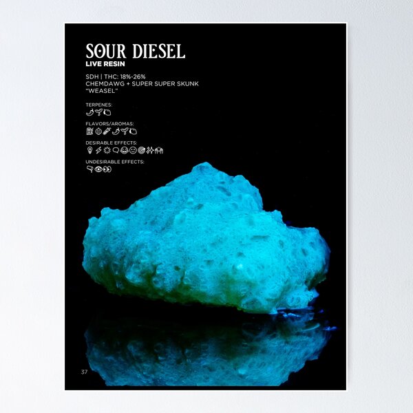 Sour Diesel Live Resin Stat Poster | The Secret Colors of Cannabis Official Poster