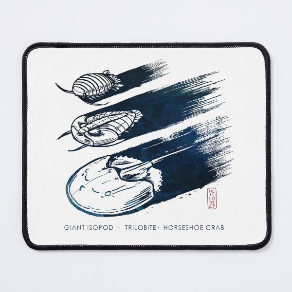 Item preview, Deep sea roombas on ink designed and sold by xVelozeex.