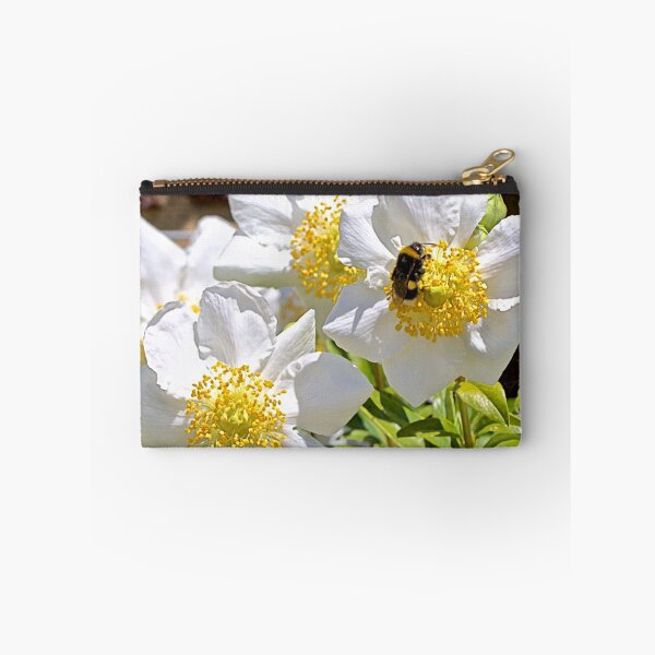 Item preview, Carpenteria california 'Elizabeth' designed and sold by John Thurgood.