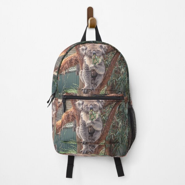 Item preview, Koala Posing and Enjoying a Snack designed and sold by Steven Jodoin.
