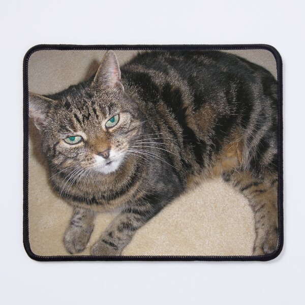 Item preview, Tabby cat designed and sold by Tracey Pacitti.