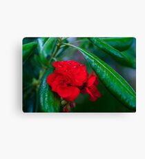 Flower Canvas Print