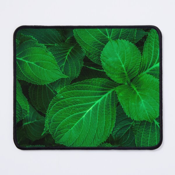 Item preview, Broad Green Leaf Plant designed and sold by Steven Jodoin.
