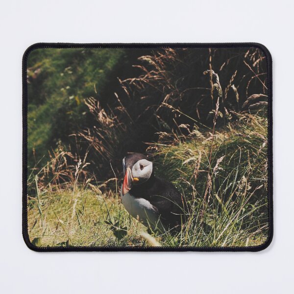 Item preview, Lone Puffin On Staffa Island designed and sold by Emilia Oxelheim.