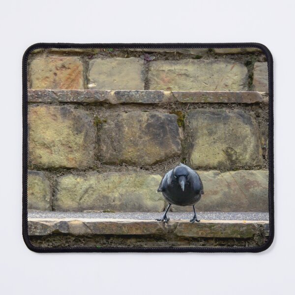 Item preview, Crow Standing His Ground designed and sold by Steven Jodoin.
