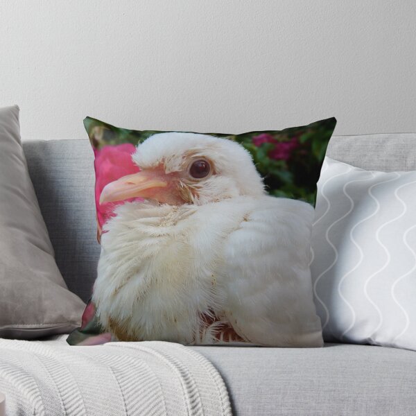 Item preview, I Bring Peace & Love To YOU!! - White Ringneck Dove - NZ designed and sold by AndreaEL.