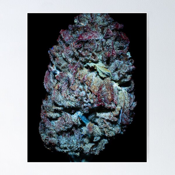Ice Cream Cake | The Secret Colors of Cannabis Official Print Poster