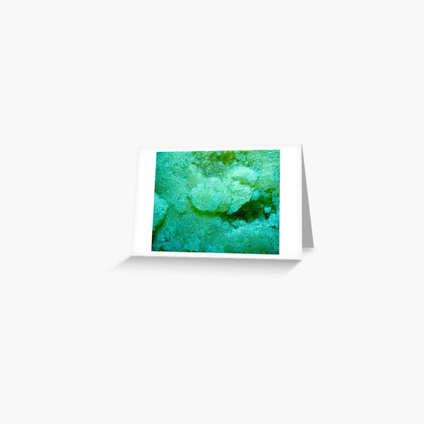 High Terp Badder Detail | The Secret Colors of Cannabis Official Print Greeting Card
