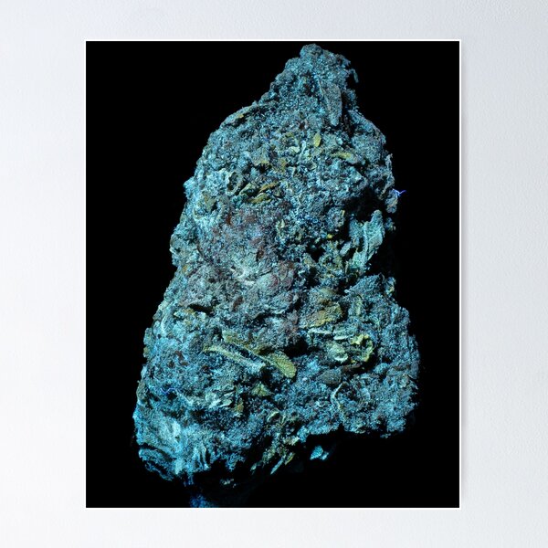 Gelato Gas | The Secret Colors of Cannabis Official Print Poster