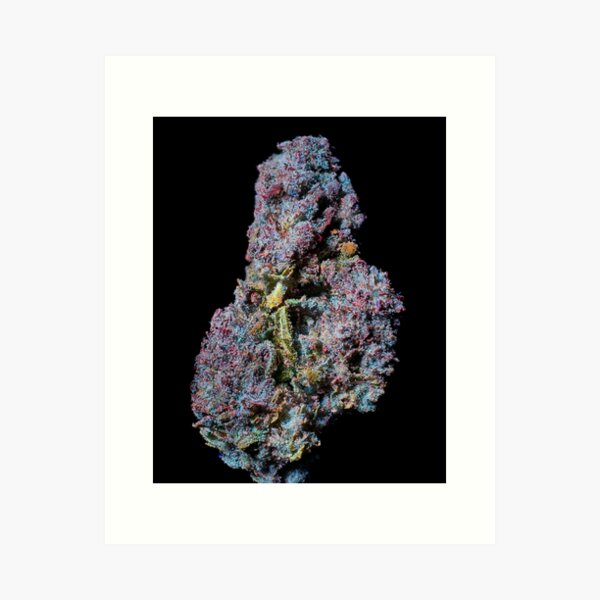 Bob Saget | The Secret Colors of Cannabis Official Print Art Print
