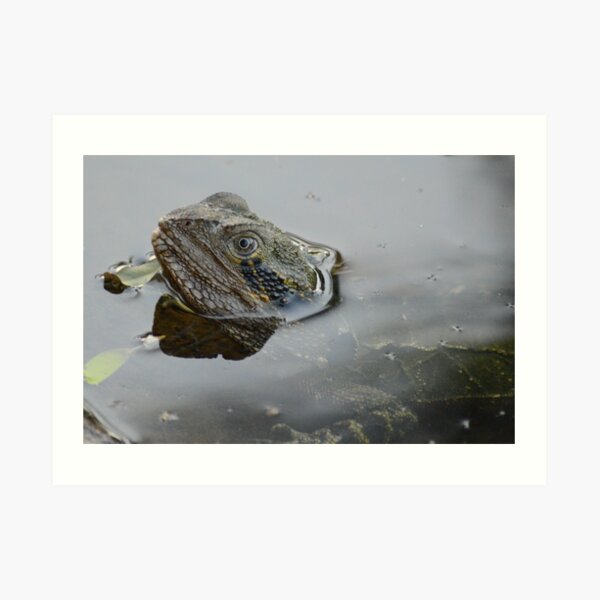 Just taking a peek Art Print