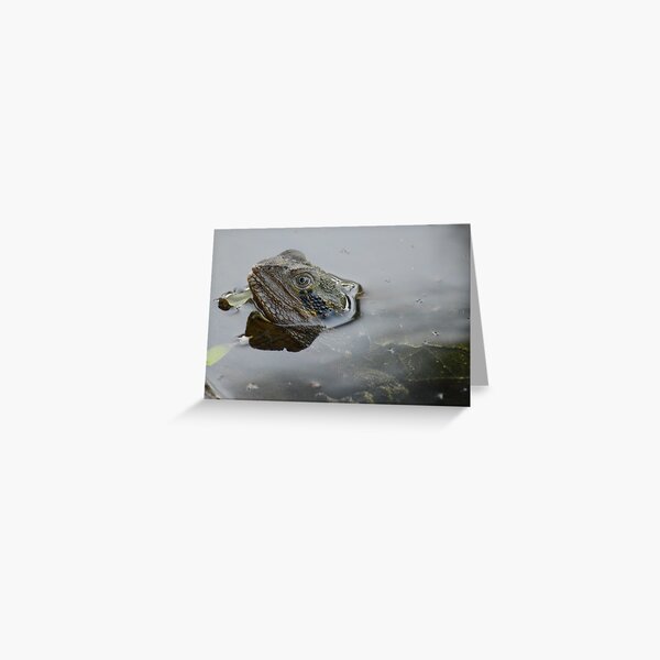 Just taking a peek Greeting Card