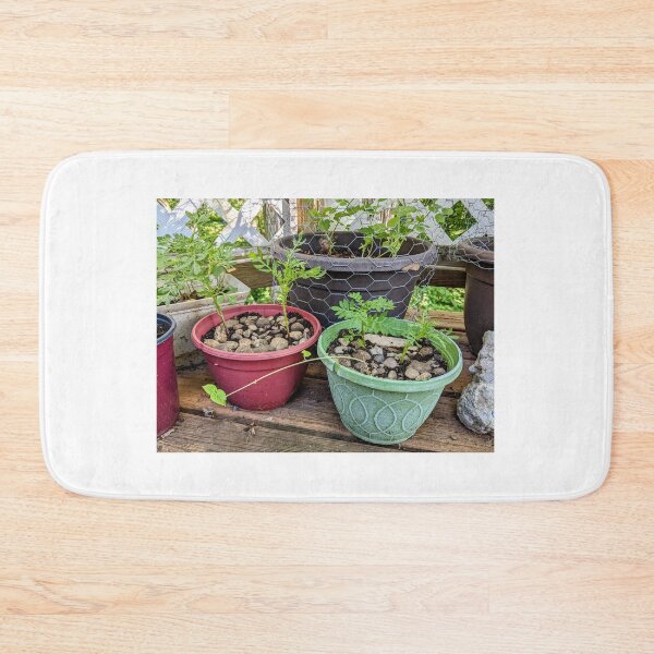 Item preview, Young Leggy Marigolds designed and sold by arfff.