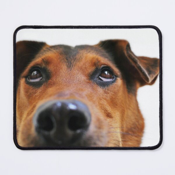 Item preview, Cute dog designed and sold by celadonshop.