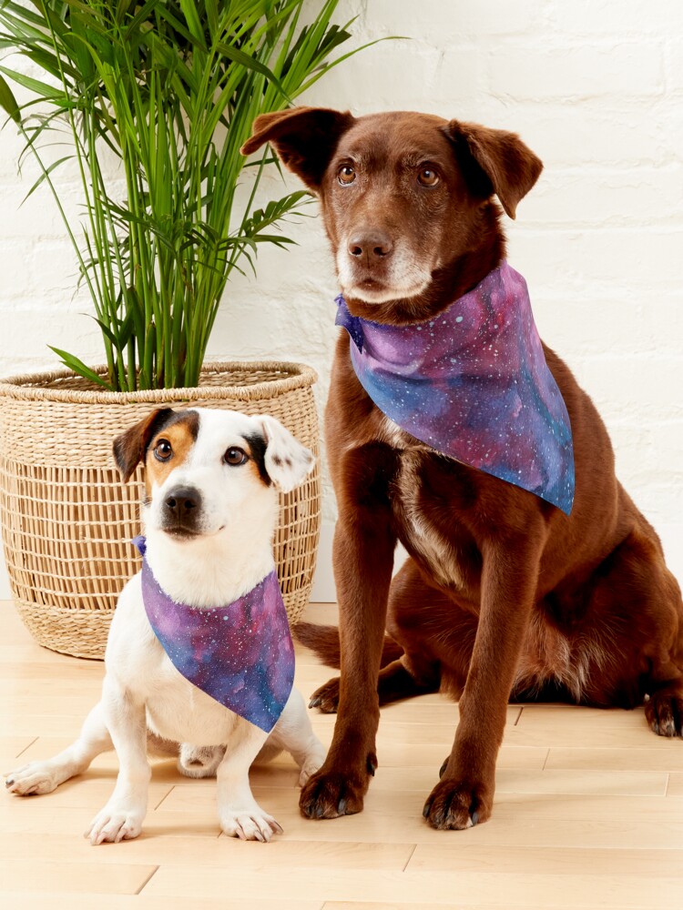 Alternate view of Galaxy Pet Bandana
