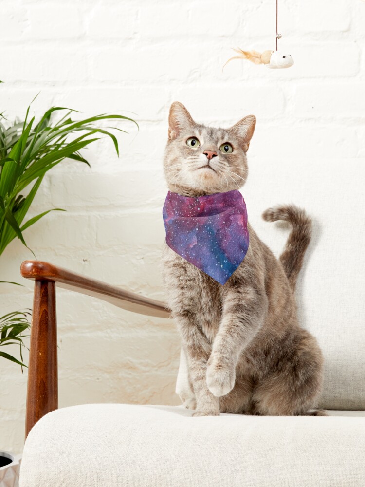 Alternate view of Galaxy Pet Bandana