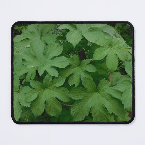 Item preview, big green leaf designed and sold by Zarabeaver.