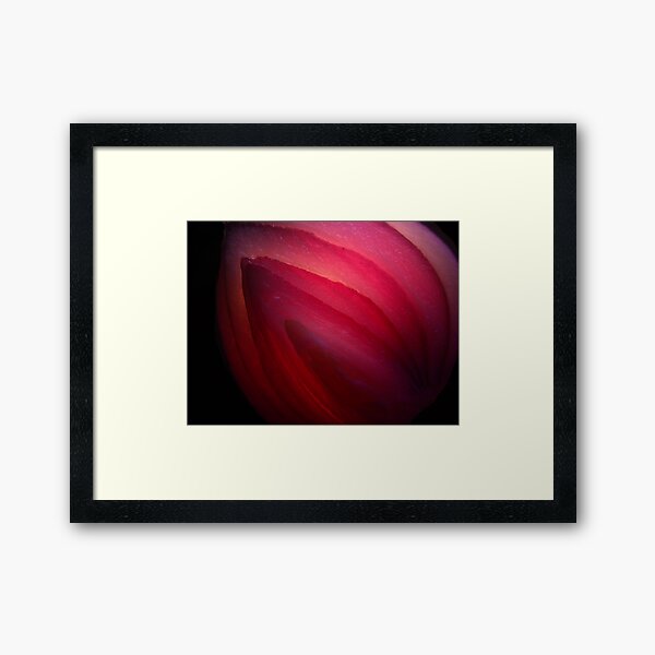 The Darkside of the Onion Framed Art Print