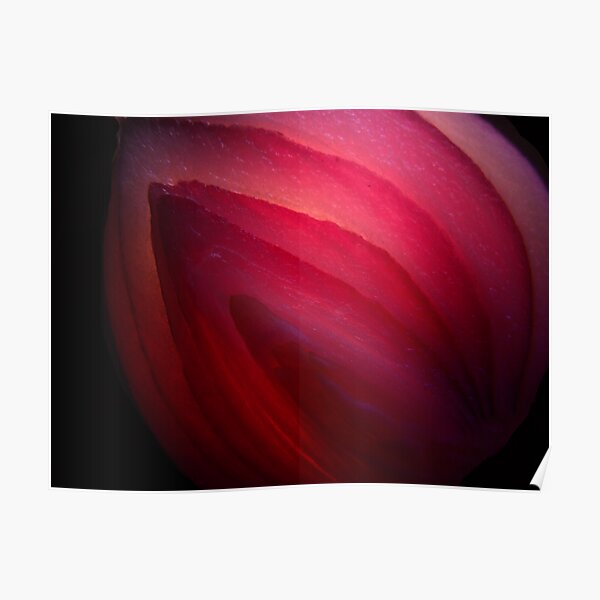 The Darkside of the Onion Poster