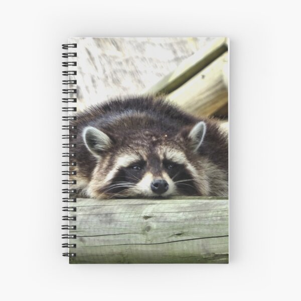 Tired Raccoon Spiral Notebook