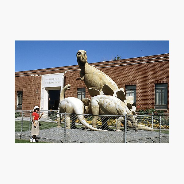 Item preview, Vintage Dinosaur National Monument designed and sold by BGPickers.