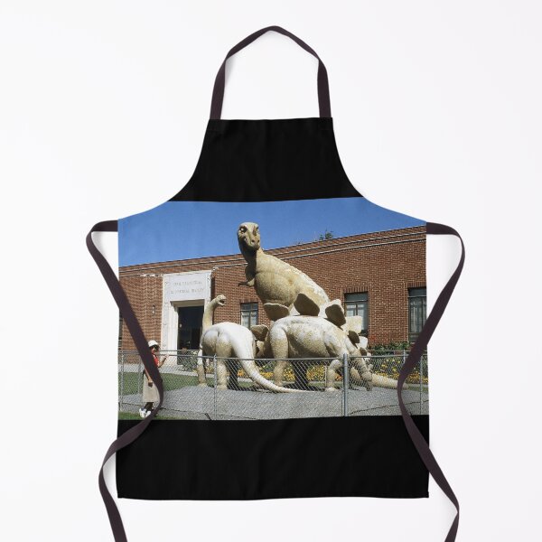 Item preview, Vintage Dinosaur National Monument designed and sold by BGPickers.