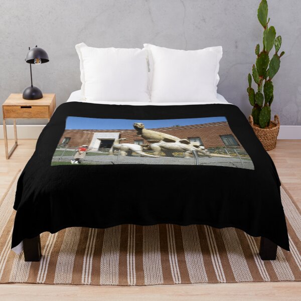Item preview, Vintage Dinosaur National Monument designed and sold by BGPickers.