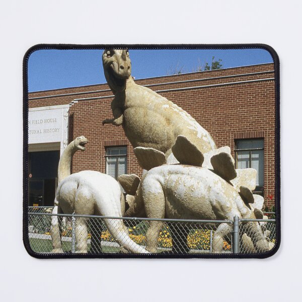 Item preview, Vintage Dinosaur National Monument designed and sold by BGPickers.
