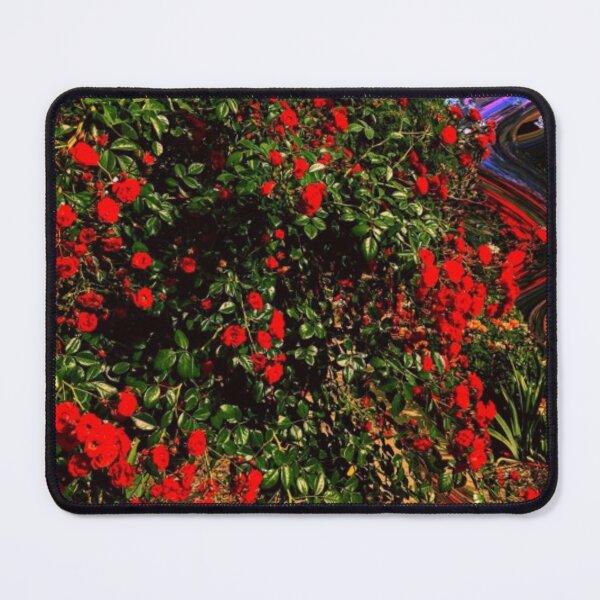 Item preview, album cover designed and sold by creative-spaces.