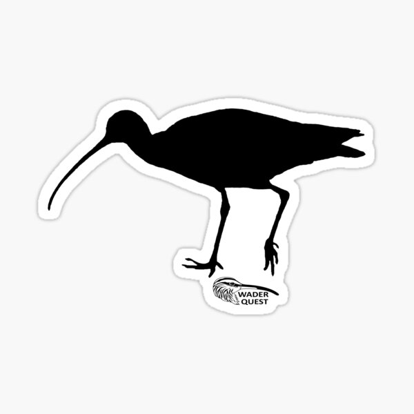 Curlew Sticker