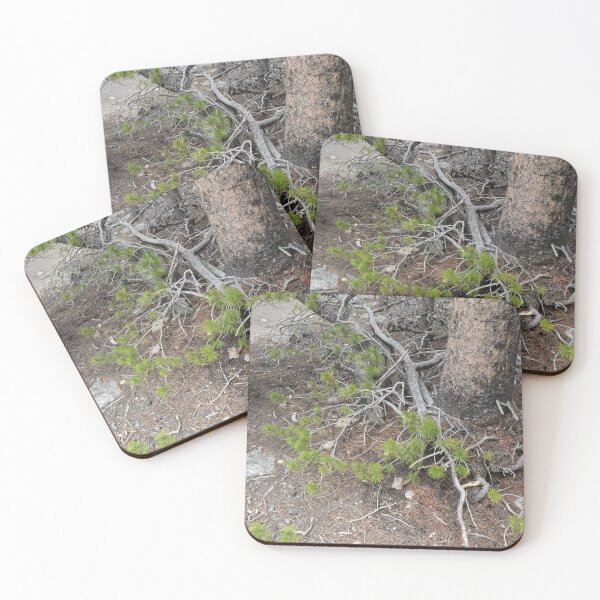 Item preview, Trees, Rocks, Roots designed and sold by Haley-Marshall.
